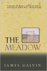 41uwyxicail-_sy344_bo1204203200_